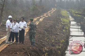 Menkopolhukam-Rektor UGM bahas kajian lahan gambut