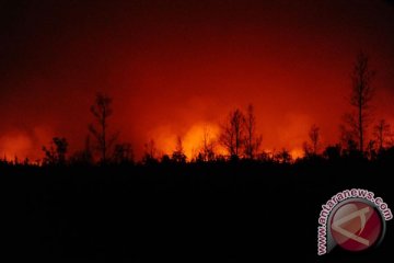 Dansatgas Kalteng: total lahan terbakar hingga saat ini 106 hektare