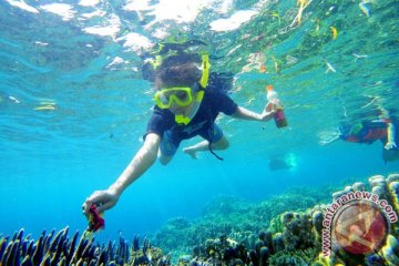 Putri Pariwisata : Taman Laut Olele menakjubkan