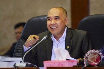 DPR ingin "tax amnesty" dikonsultasikan dengan Presiden