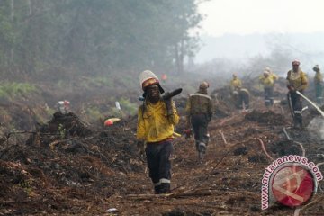 BRG dorong berdayakan ekonomi perdesaan gambut