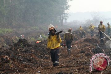 Tenaga ahli pemadam Afsel