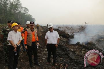 Tinjauan Kepala BNPB 