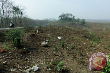 Ratusan hektar kawasan hutan di Minahasa Tenggara direboisasi