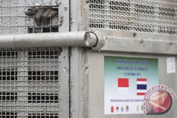 Orangutan selundupan dari Thailand jalani tes DNA