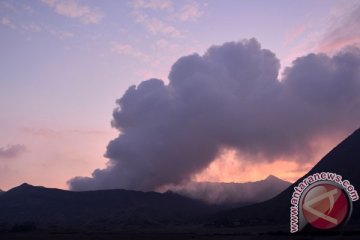 Gunung Bromo masih fluktuatif