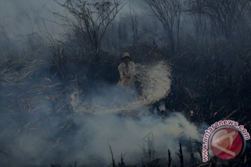 Taman Nasional Kutai Siaga I terkait kebakaran lahan