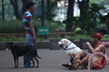 Pelihara hewan bagus untuk jantung