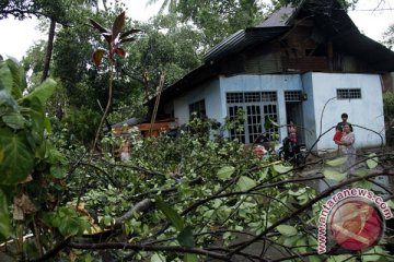 Lima bangunan rusak tertimpa pohon tumbang di Sumbar