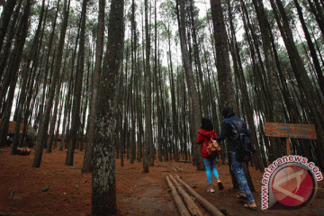 Karawang siapkan 1.000 hektare untuk hutan raya