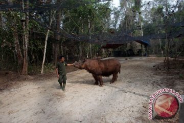 KLHK dalami temuan ekskavator di taman nasional