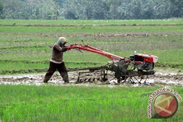 Garap Lahan Sawah