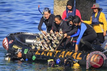 Kapal karam akibatkan karang di suaka alam perairan Alor-NTT  rusak parah