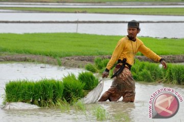 Kaltim segera tetapkan daerah irigasi strategis