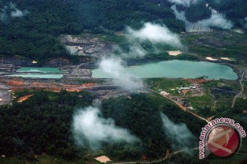 Hari lingkungan, WWF ungkap kondisi Borneo
