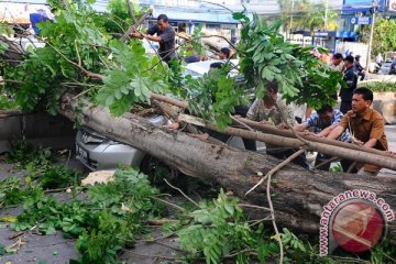 Hujan dan angin tumbangkan pepohonan, timpa kendaraan di Bogor