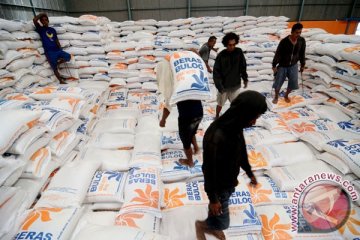 Kejar target pengadaan, Bulog Sulteng  genjot pembelian beras petani