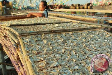 Ikan harus dijadikan menu utama