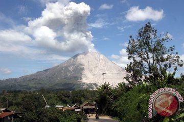 BNPB : ancaman lahar dingin di Sinabung meningkat