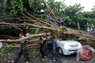 Belasan rumah di Blitar rusak diterjang angin lesus