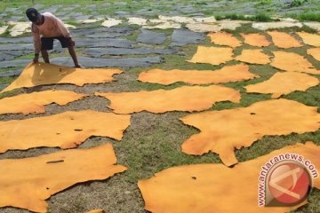 Garam langka, ini dampaknya ke industri kulit