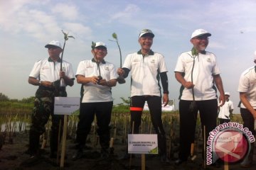 Cegah abrasi, 110.000 mangrove ditanam di Pantai Maron Semarang