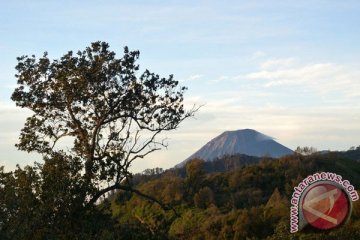 Pendaki hilang di Semeru ditemukan selamat