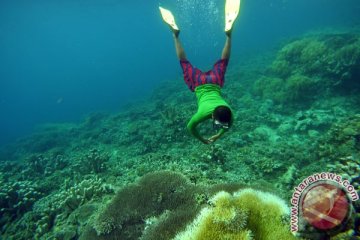 Kerusakan terumbu karang tema Hari Konservasi Alam