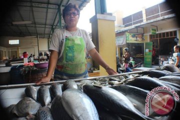 Ikan segar mulai naik