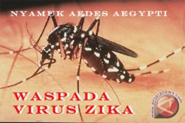 Virus Zika bisa lewati jaringan plasenta