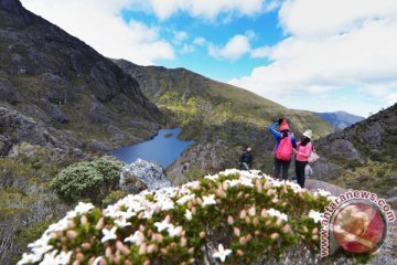 Menjelajahi Paramo de Santurban di Kolombia