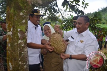 Pengembangan Tanaman Durian