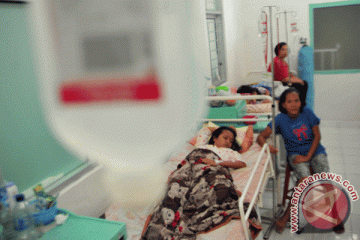 Jumlah penderita DBD di Sampang meningkat