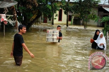 BENCANA BANJIR - Puluhan ribu jiwa terdampak banjir Kampar-Rohul