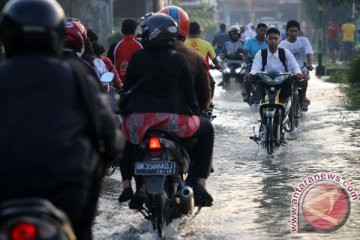 Banjir rusak 2.203 hektare lahan padi Sumut