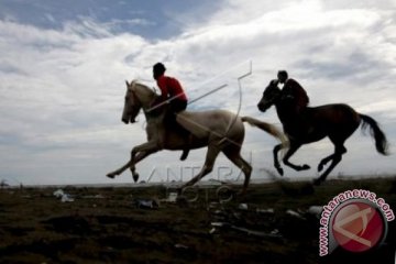 LATIHAN PACUAN KUDA