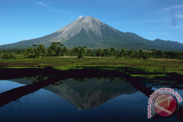 Seorang pendaki Gunung Semeru meninggal tertimpa batu