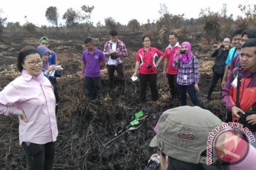 TATA KELOLA GAMBUT