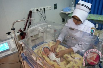 Enam bayi Surabaya lahir di tahun kabisat