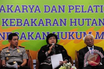 Perusahaan sosialisasi pencegahan karhutla di sekolah