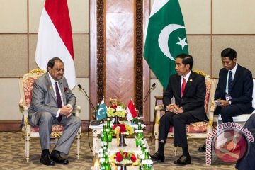 Indonesia-Pakistan kokohkan kerja sama energi dan perdagangan