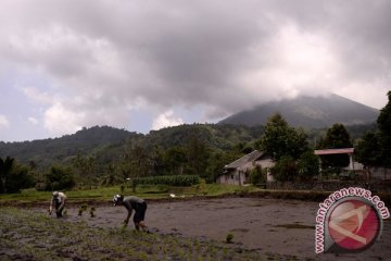 Empat gunung api di Sulut berstatus waspada