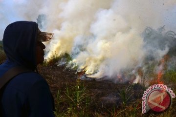 Kebakaran lahan di Singkawang Timur meluas