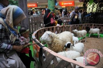 Berternak dan Berkebun di Mall