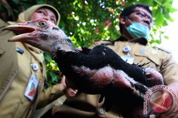 Indonesia diakui mampu kendalikan flu burung