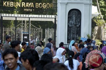 Tiga hari Libur panjang, 17.099 pengunjung padati Kebun Raya Bogor