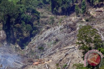 Perambahan hutan di TNLL Palu makin berkurang