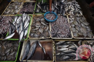 Pemerintah Surabaya tertibkan pedagang ikan di Jalan Panggung