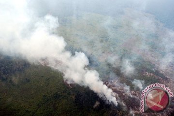 Titik panas baru bermunculan di Bengkalis Riau