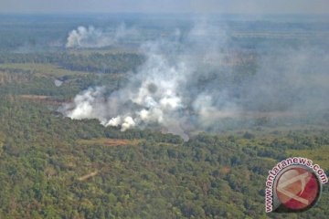Paskhas TNI musnahkan barak pembakar lahan di Taman Nasional Tesso Nilo
